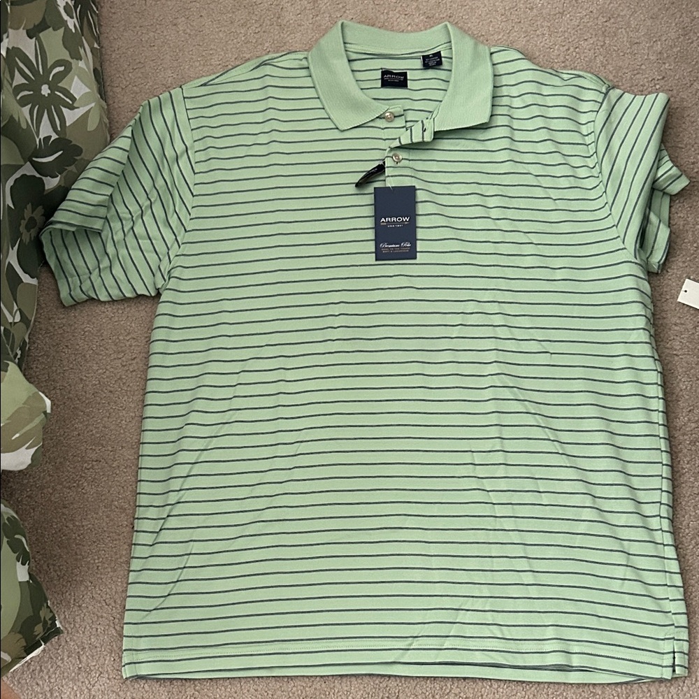 Arrow Men's Mint Green Striped Polo Shirt